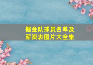 掘金队球员名单及薪资表图片大全集