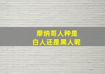 摩纳哥人种是白人还是黑人呢