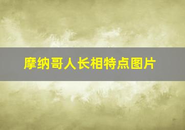 摩纳哥人长相特点图片