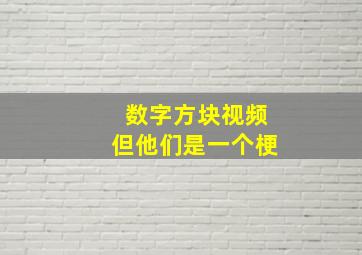 数字方块视频但他们是一个梗