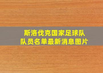 斯洛伐克国家足球队队员名单最新消息图片