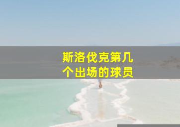 斯洛伐克第几个出场的球员