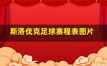 斯洛伐克足球赛程表图片