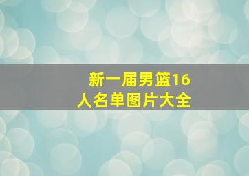 新一届男篮16人名单图片大全