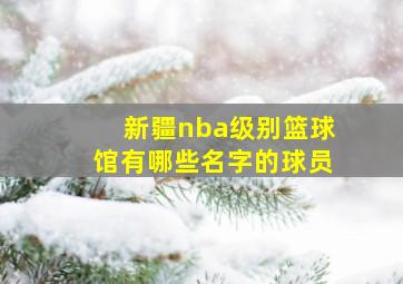 新疆nba级别篮球馆有哪些名字的球员