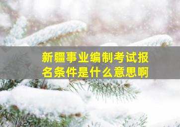 新疆事业编制考试报名条件是什么意思啊