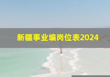 新疆事业编岗位表2024