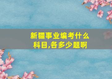 新疆事业编考什么科目,各多少题啊