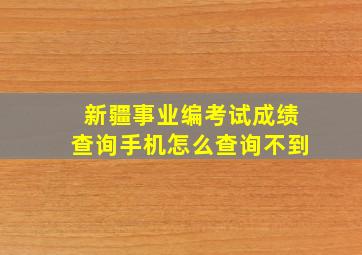 新疆事业编考试成绩查询手机怎么查询不到