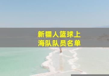 新疆人篮球上海队队员名单