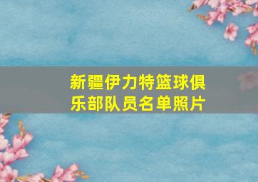 新疆伊力特篮球俱乐部队员名单照片