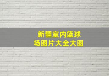 新疆室内篮球场图片大全大图