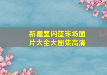 新疆室内篮球场图片大全大图集高清