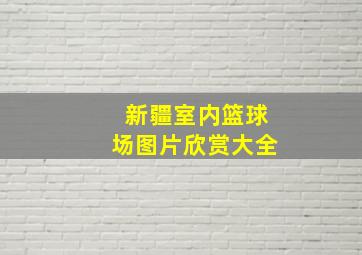 新疆室内篮球场图片欣赏大全