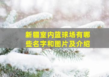 新疆室内篮球场有哪些名字和图片及介绍