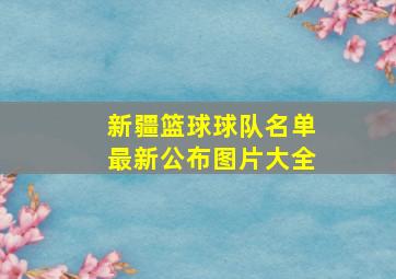 新疆篮球球队名单最新公布图片大全