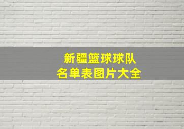 新疆篮球球队名单表图片大全