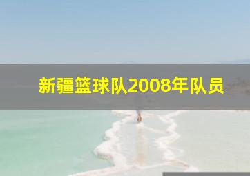 新疆篮球队2008年队员