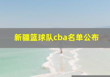 新疆篮球队cba名单公布