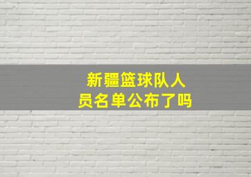 新疆篮球队人员名单公布了吗