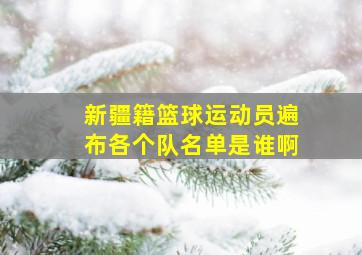 新疆籍篮球运动员遍布各个队名单是谁啊