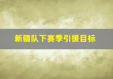 新疆队下赛季引援目标