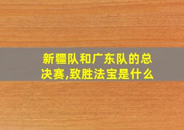 新疆队和广东队的总决赛,致胜法宝是什么