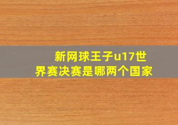 新网球王子u17世界赛决赛是哪两个国家