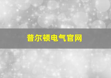 普尔顿电气官网