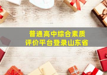 普通高中综合素质评价平台登录山东省