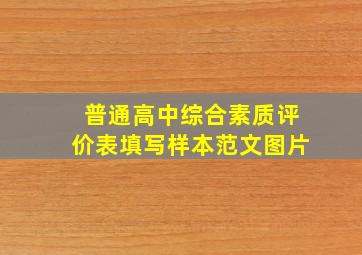 普通高中综合素质评价表填写样本范文图片