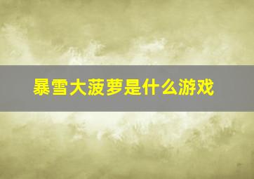 暴雪大菠萝是什么游戏