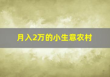 月入2万的小生意农村