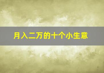 月入二万的十个小生意