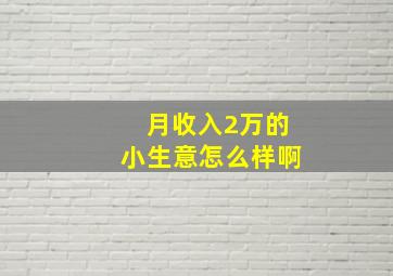 月收入2万的小生意怎么样啊