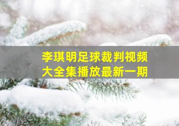 李琪明足球裁判视频大全集播放最新一期