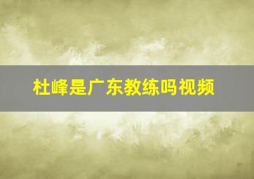 杜峰是广东教练吗视频