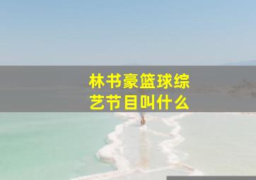 林书豪篮球综艺节目叫什么