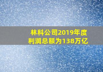 林科公司2019年度利润总额为138万亿