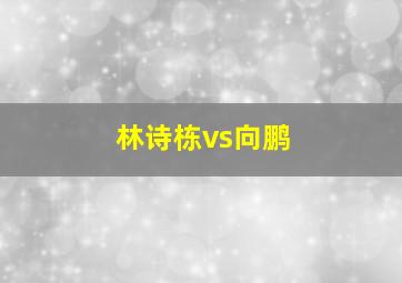 林诗栋vs向鹏