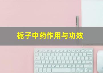 栀子中药作用与功效