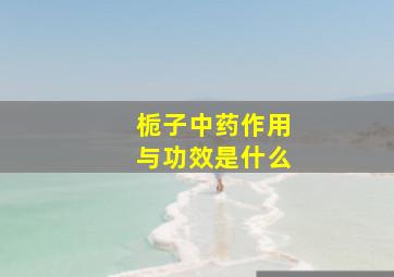 栀子中药作用与功效是什么