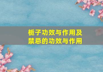 栀子功效与作用及禁忌的功效与作用