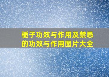 栀子功效与作用及禁忌的功效与作用图片大全