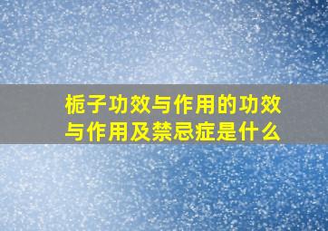 栀子功效与作用的功效与作用及禁忌症是什么