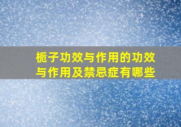 栀子功效与作用的功效与作用及禁忌症有哪些