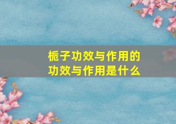 栀子功效与作用的功效与作用是什么