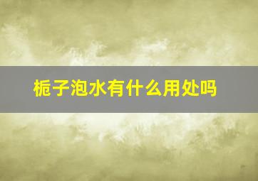 栀子泡水有什么用处吗