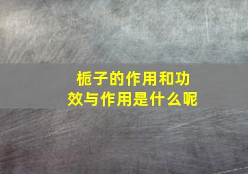 栀子的作用和功效与作用是什么呢