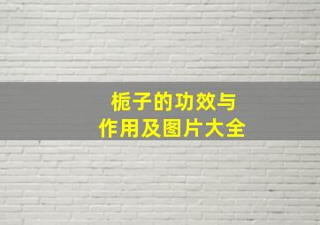 栀子的功效与作用及图片大全